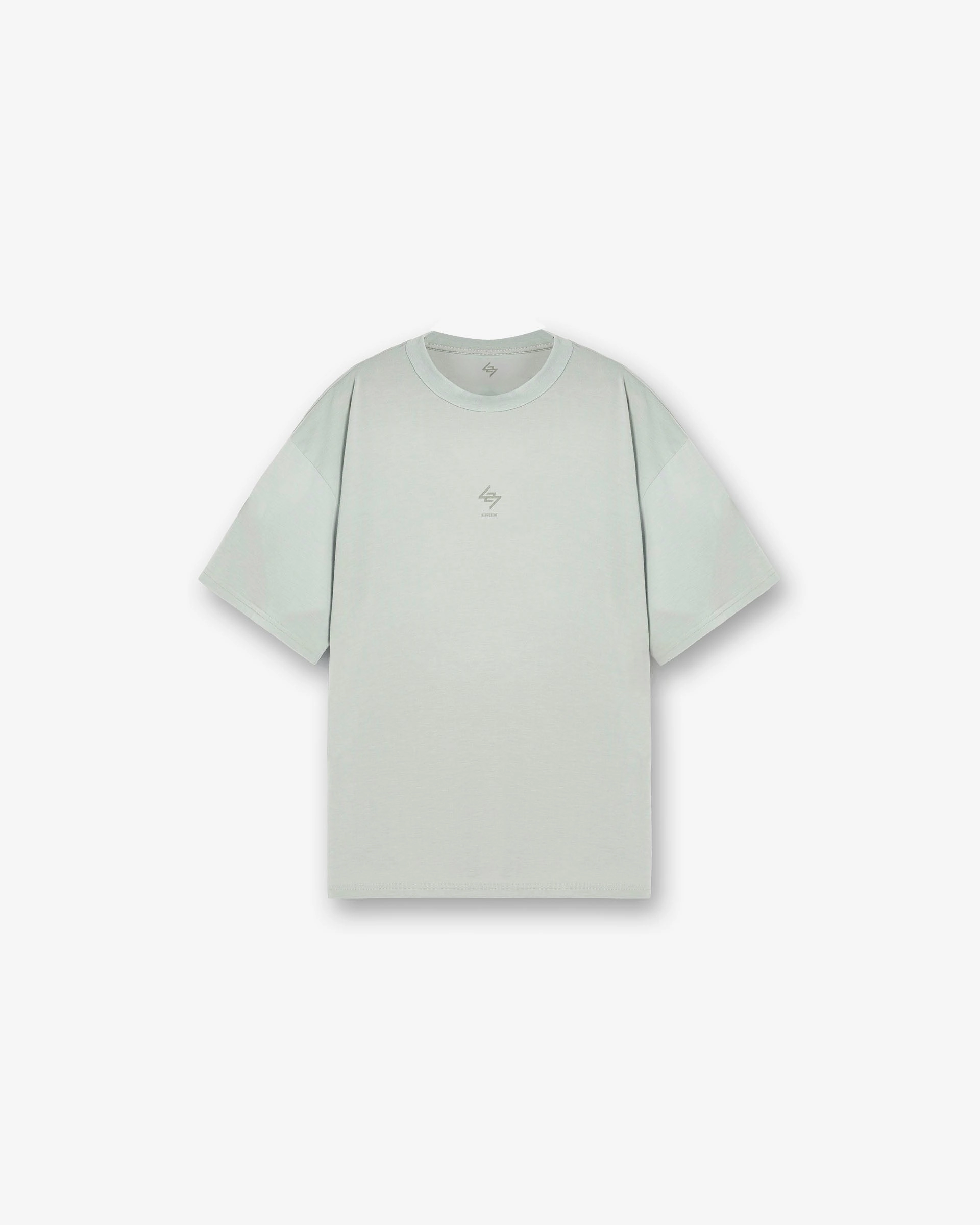 247 Oversized T-Shirt - Sage Sports Outfit