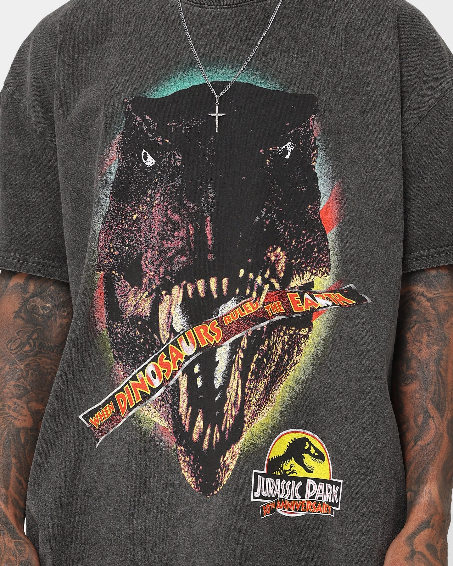 American Thrift X Jurassic Park 30th Anniversary Heavyweight Vintage T-Shirt Black Wash Airy Mesh Lining
