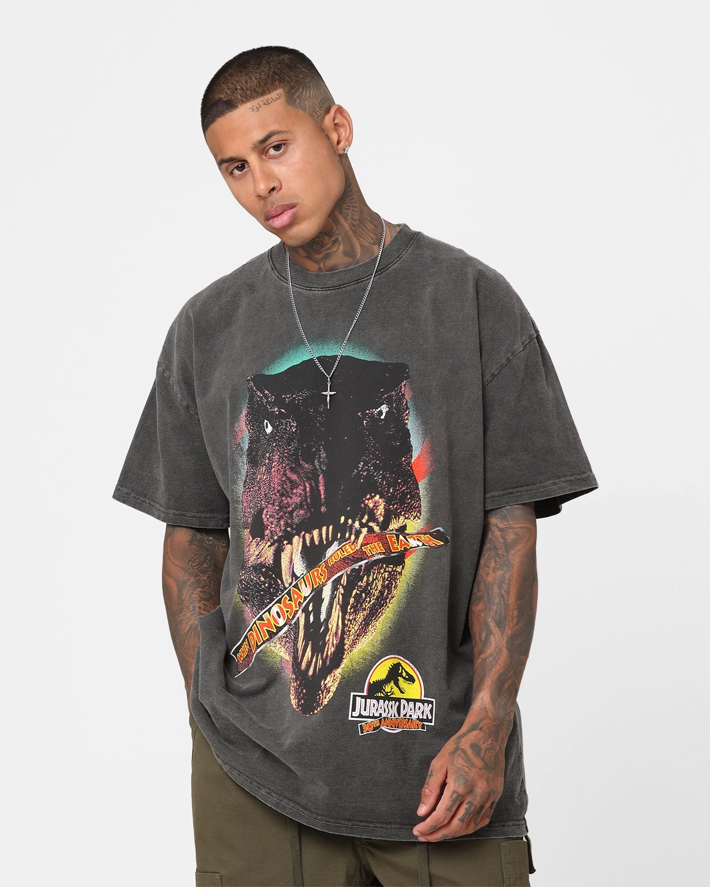 HighStretchElastic EcoCertified American Thrift X Jurassic Park 30th Anniversary Heavyweight Vintage T-Shirt Black Wash