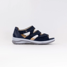 Fashionable Design Fidelio Hilani (Women's) - Marine Combination