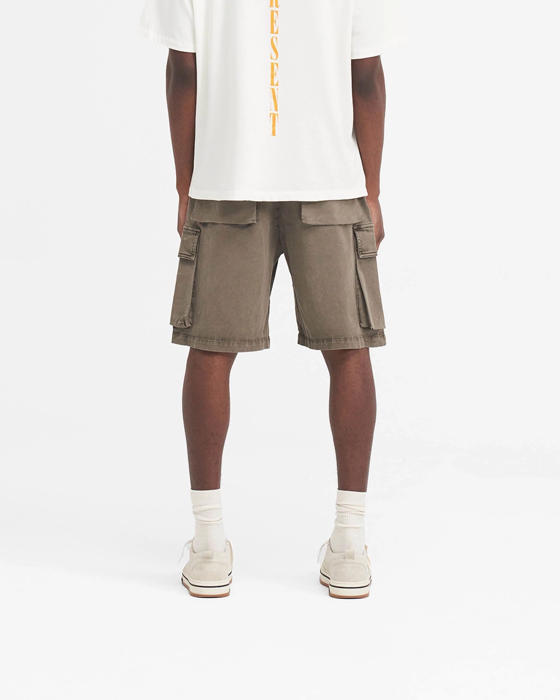 Day Trip Wear fishing attire Washed Cargo Short - Dawn
