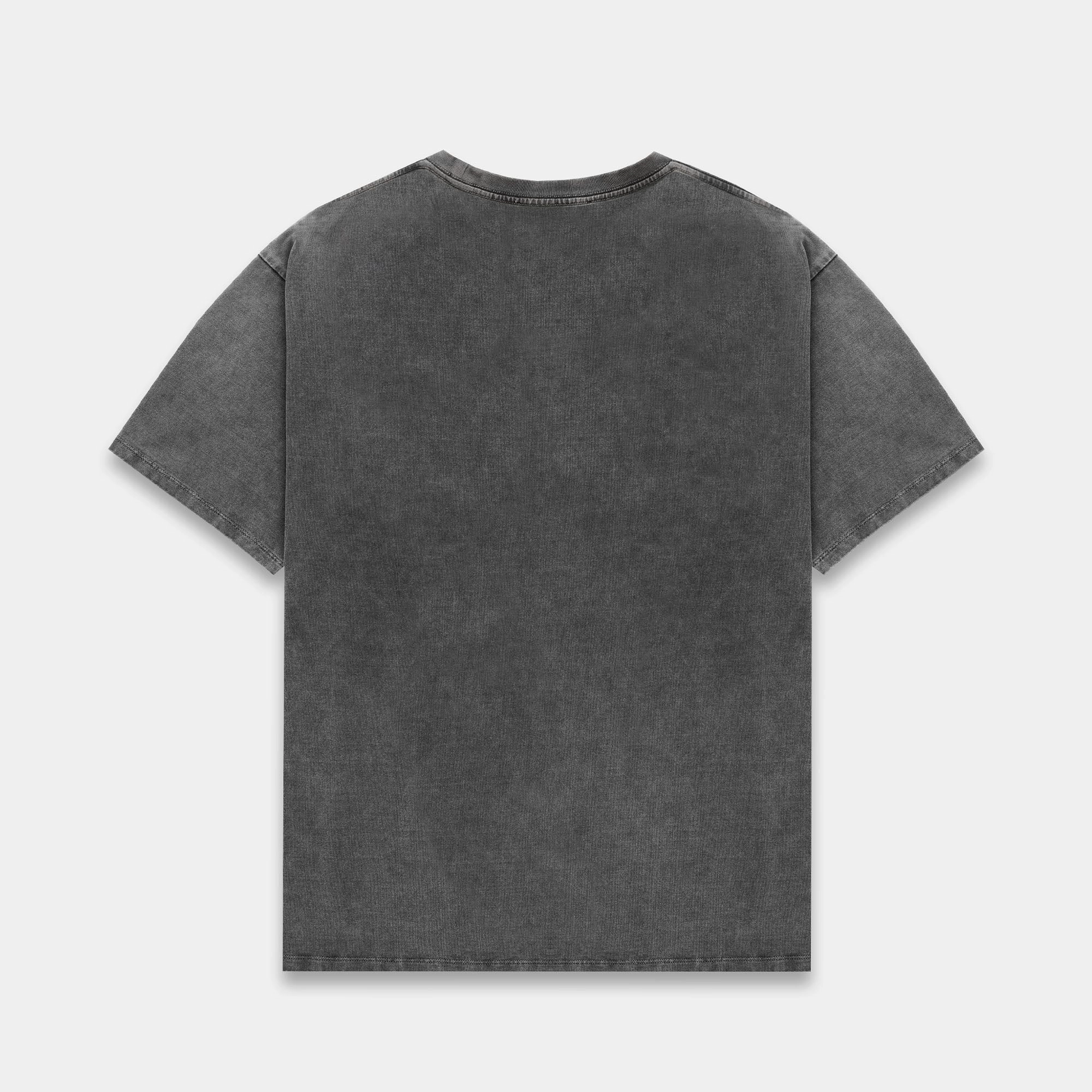 Versatile and Comfortable Pin Up II Washed Grey T-Shirt