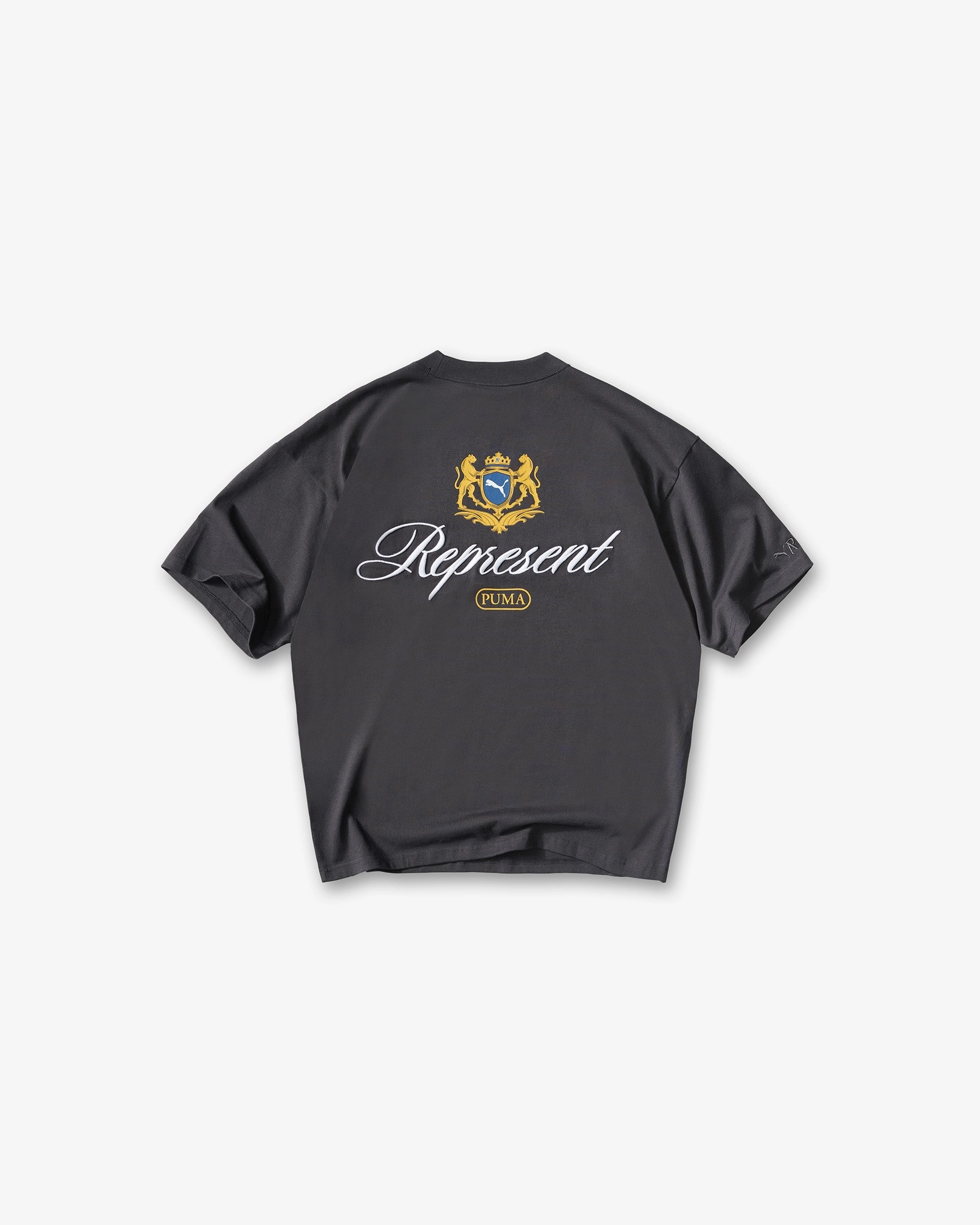 Light Outfit FlexibleCollarOptions Represent X Puma Graphic T-Shirt - Dark Grey