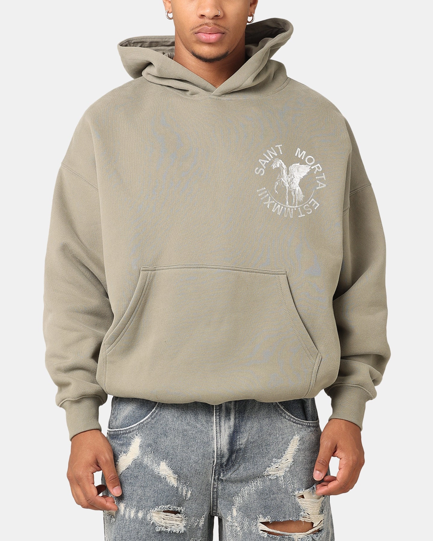Stylish Hoodie LowMaintenanceMaterial Saint Morta Pegasus Premium Hoodie Khaki