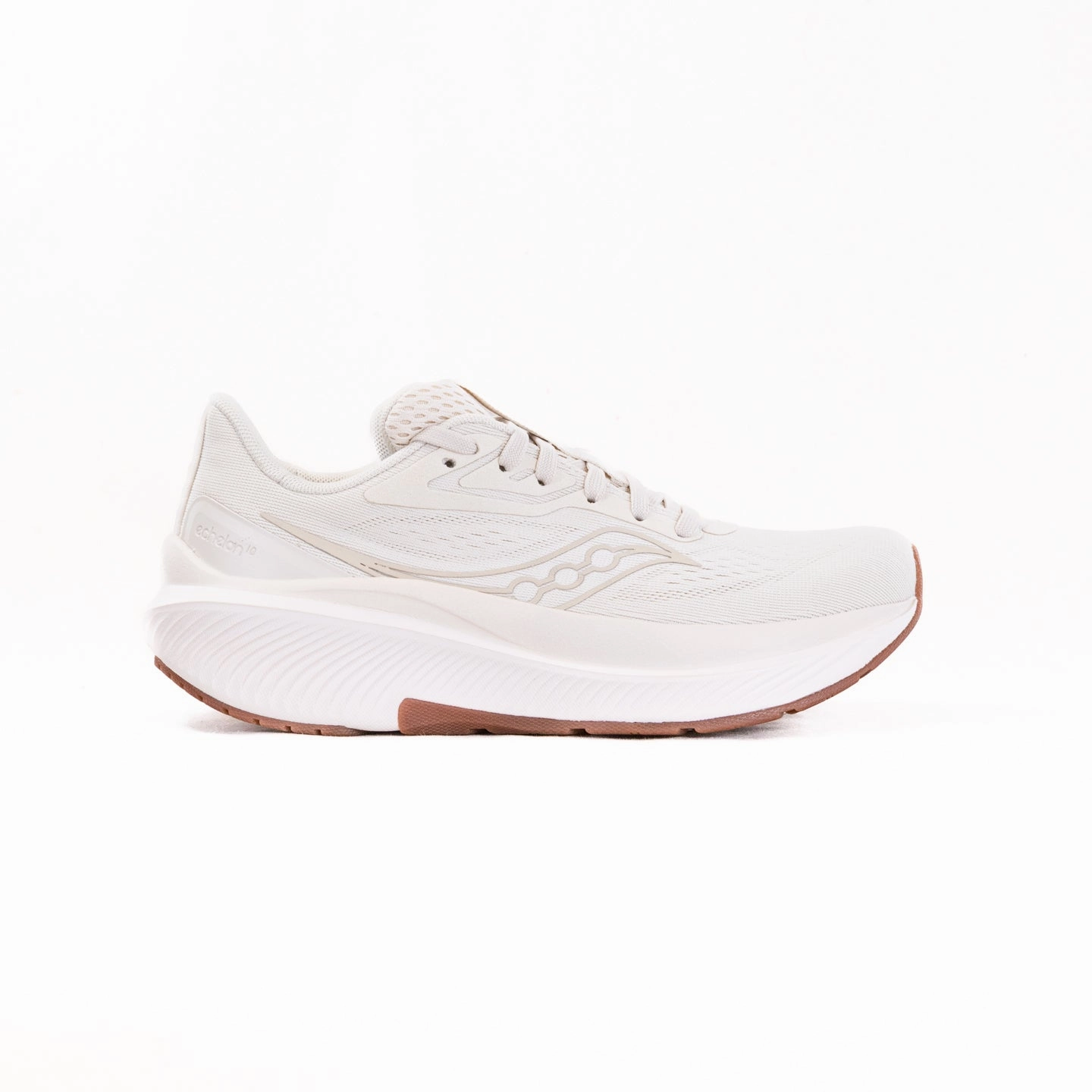 Marathon running Saucony Echelon 10 (Women's) - Rye/Gum