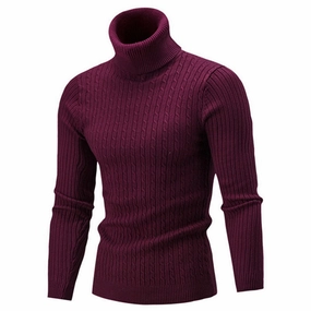 West Louis? Turtleneck Solid Casual Sweater Hypoallergenic Fibers